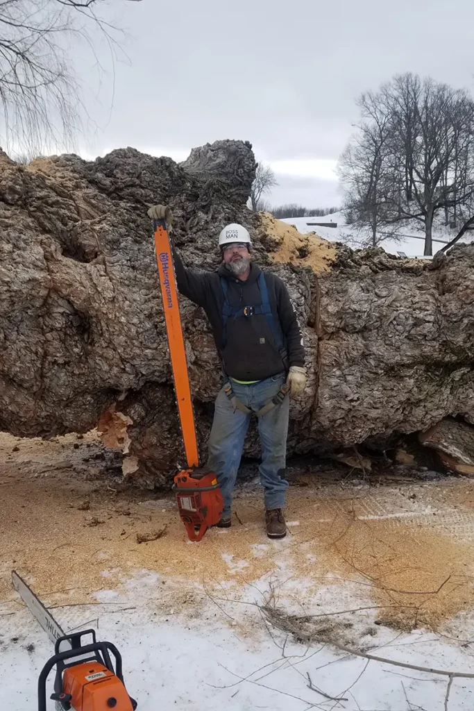 Man posing with chainsaw and tree trunk